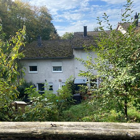 In Saarbruecken Stadtnahe Gemuetliche Wohnung Am Deutsch-Franzoesischen Garten Luaran gambar