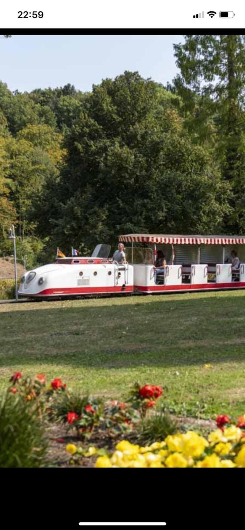 In Saarbruecken Stadtnahe Gemuetliche Wohnung Am Deutsch-Franzoesischen Garten Luaran gambar