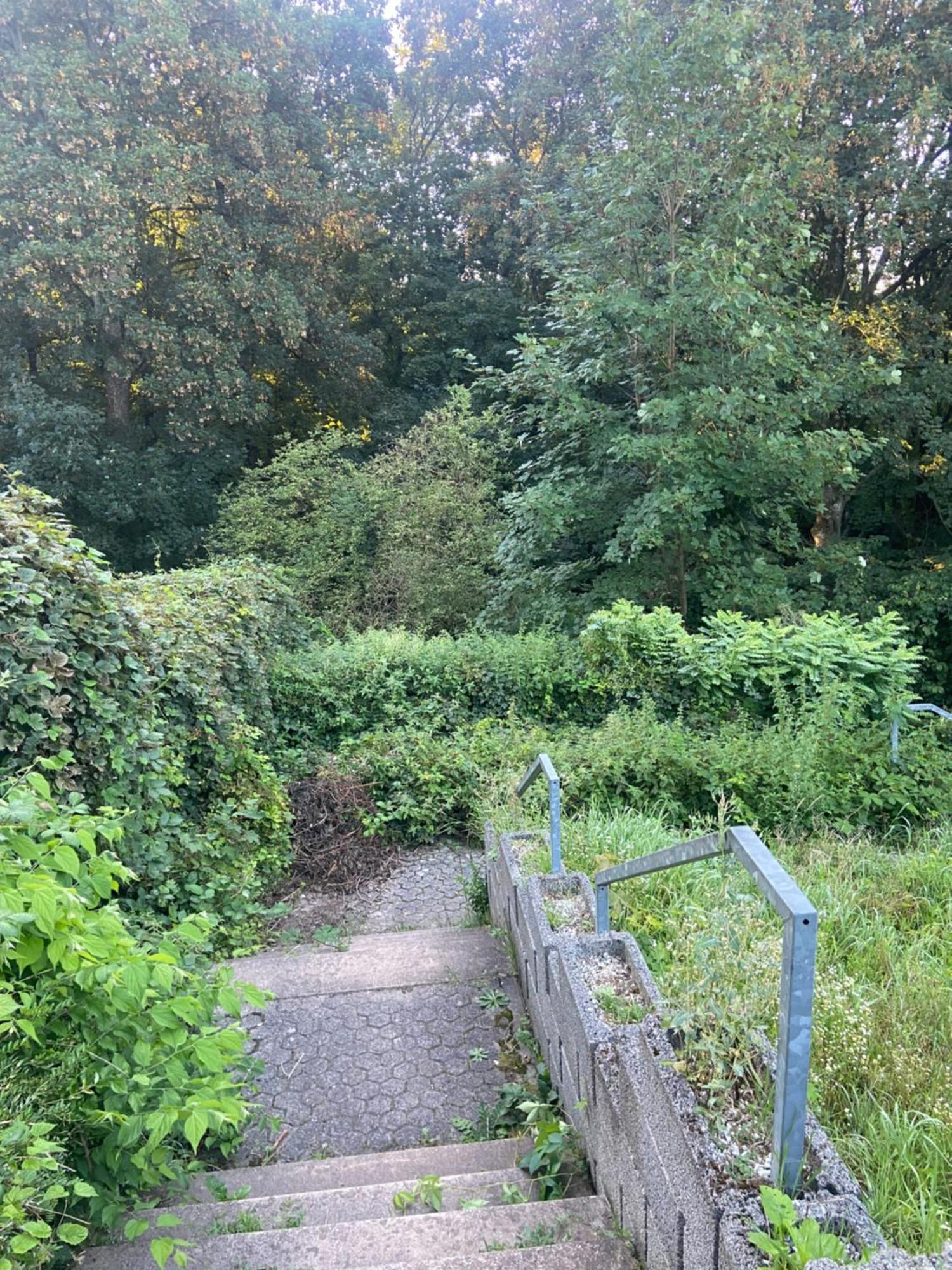 In Saarbruecken Stadtnahe Gemuetliche Wohnung Am Deutsch-Franzoesischen Garten Luaran gambar